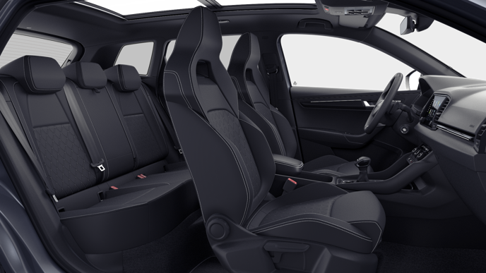 Bild eines Karoq Sportline TDI DSG