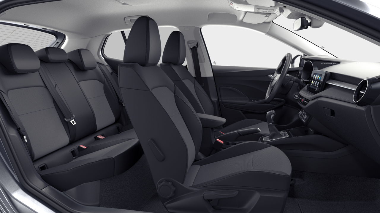 Bild eines Fabia Selection TSI DSG