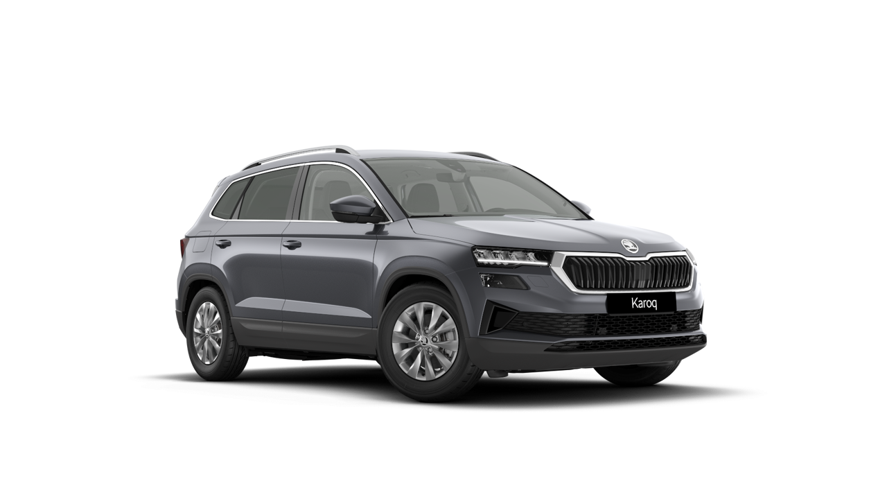 Bild eines Karoq Selection TDI DSG