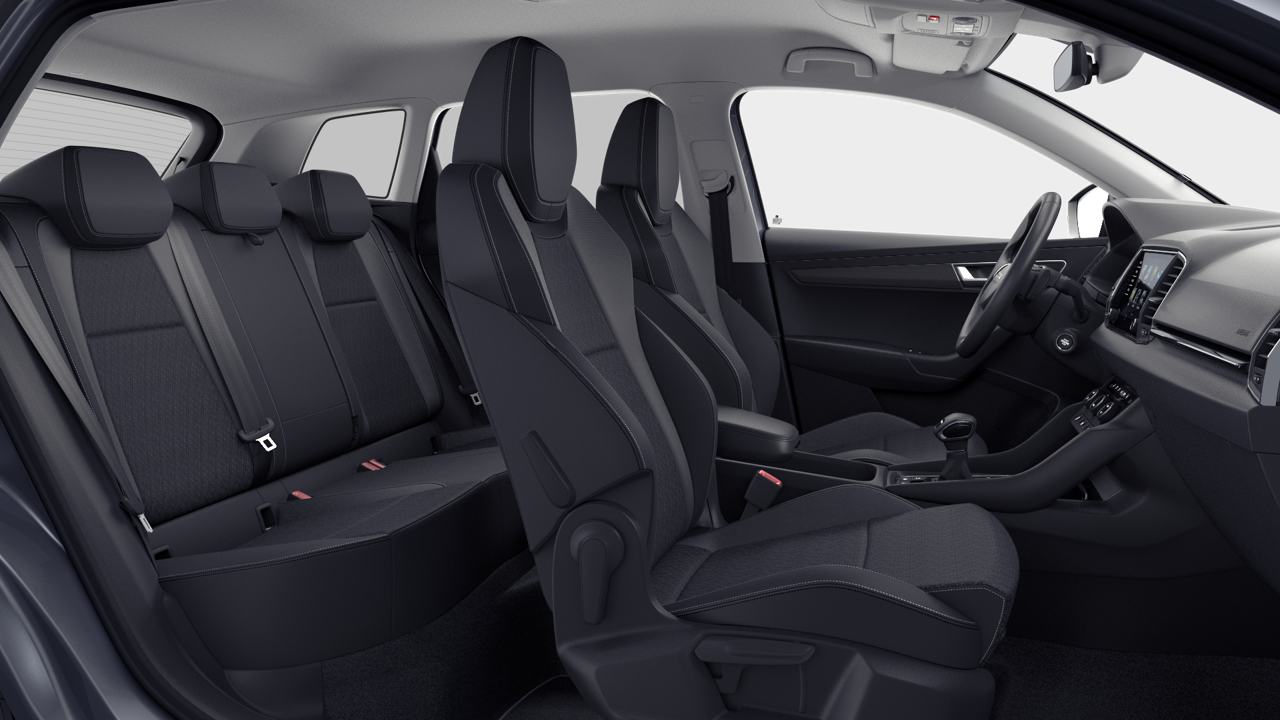 Bild eines Karoq Selection TDI DSG