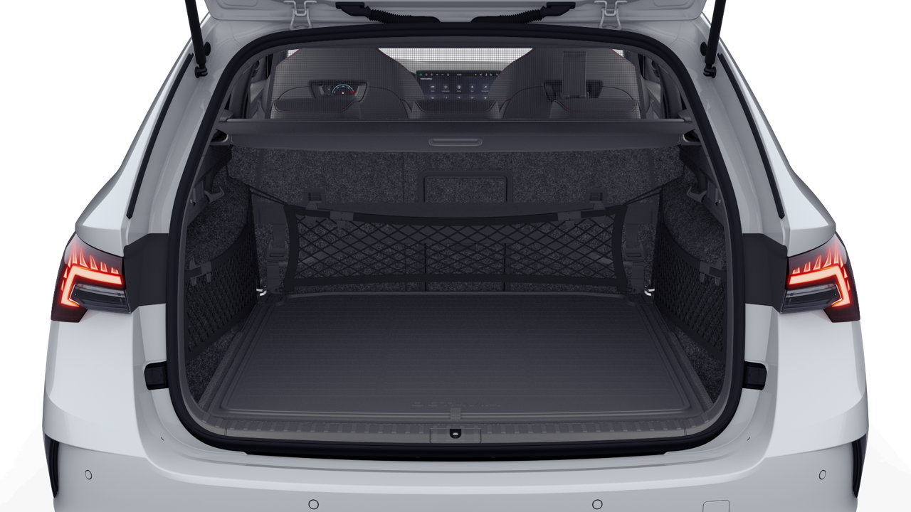 Bild eines Octavia Combi RS
