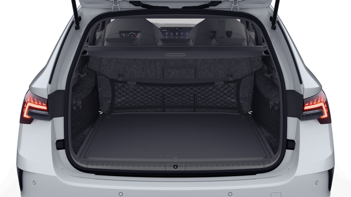 Bild eines Octavia Combi RS