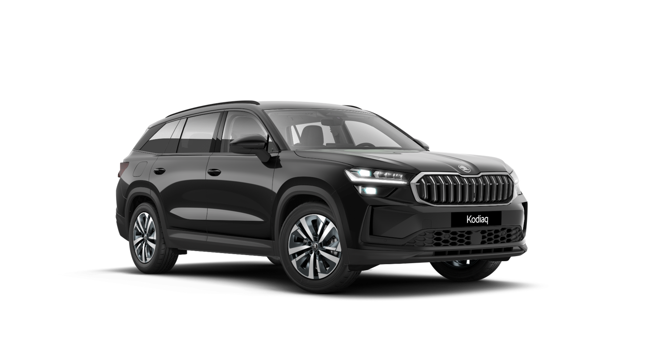 Bild eines Kodiaq Selection TDI DSG