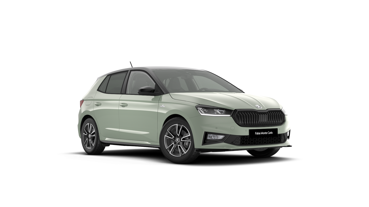 Bild eines Fabia Monte Carlo TSI DSG