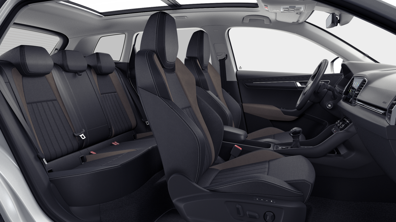 Bild eines Karoq 4x4 Selection TDI DSG