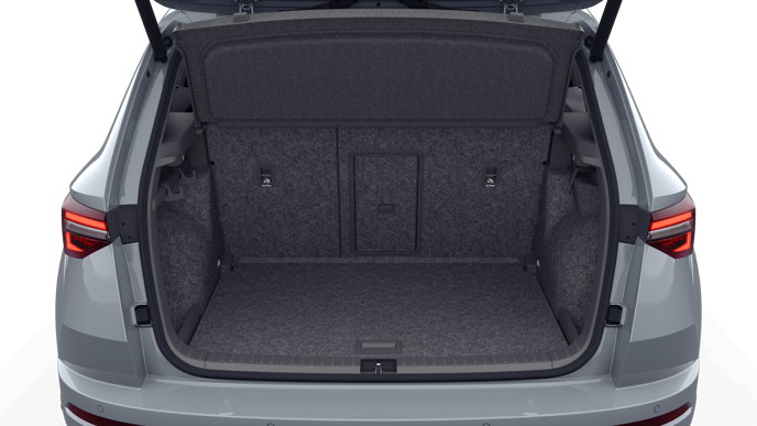 Bild eines Karoq Sportline TSI DSG ACT