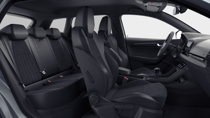 Bild eines Karoq Sportline TSI DSG ACT