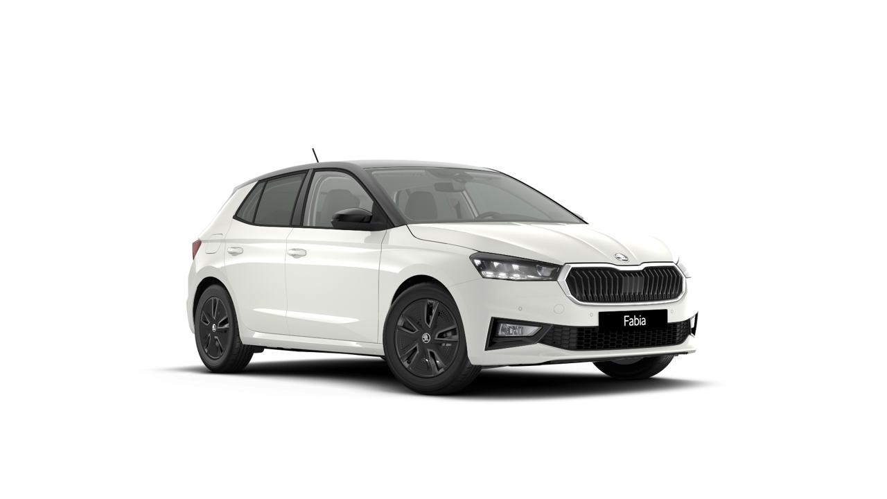 Bild eines Fabia Selection TSI