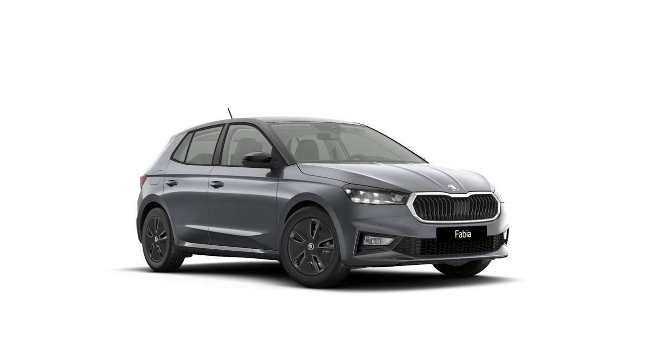 Bild eines Fabia Selection TSI