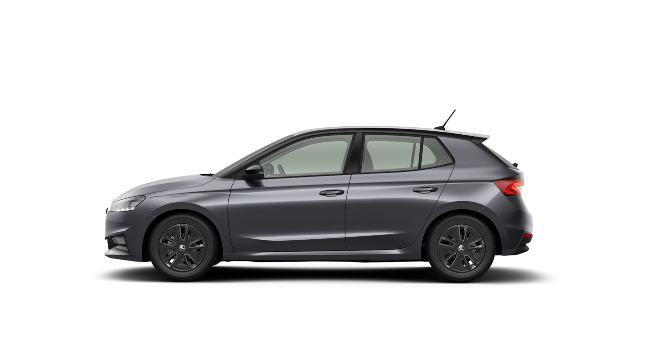 Bild eines Fabia Selection TSI
