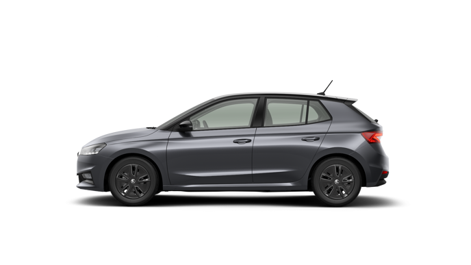 Bild eines Fabia Selection TSI