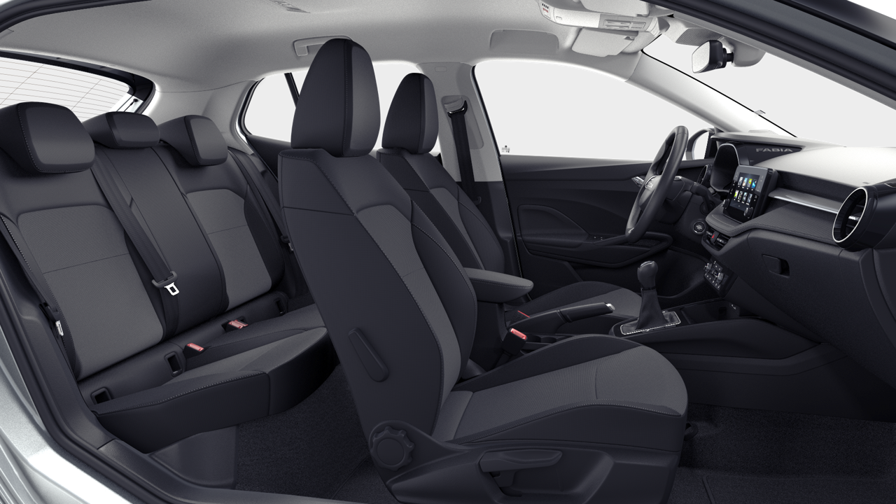 Bild eines Fabia Selection TSI