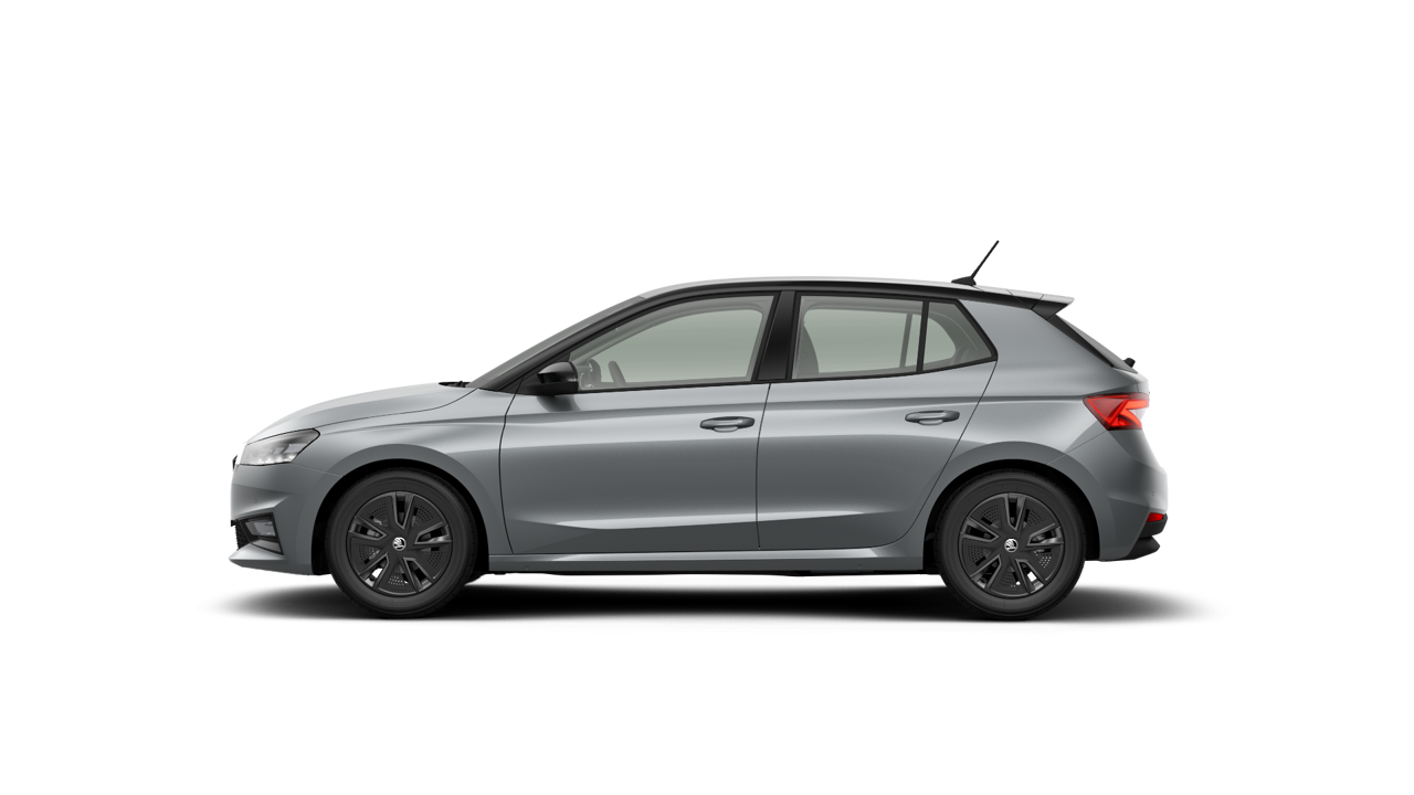 Bild eines Fabia Selection TSI