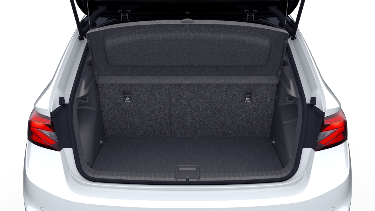 Bild eines Fabia Monte Carlo TSI DSG
