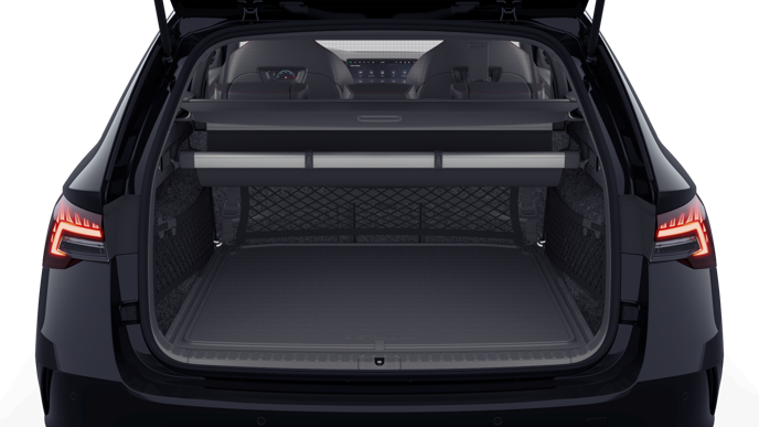 Bild eines Octavia Combi RS