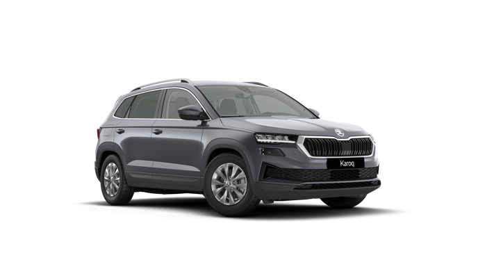 Bild eines Karoq Selection TSI