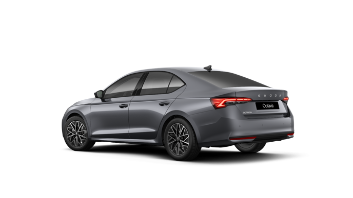 Bild eines Octavia Selection TDI DSG