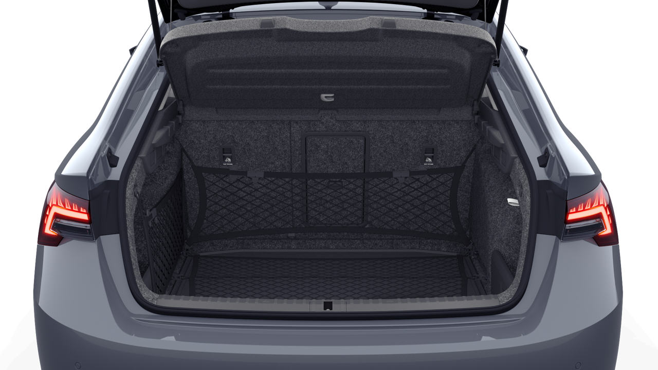 Bild eines Octavia Selection TDI DSG