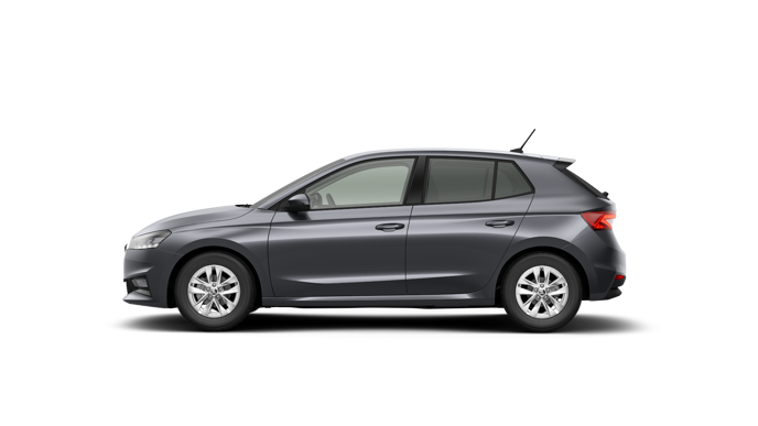 Bild eines Fabia Selection TSI