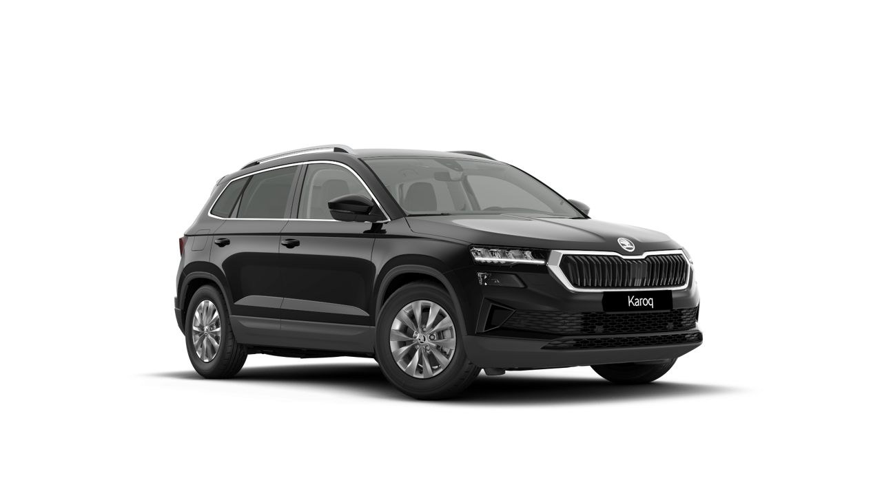 Bild eines Karoq 4x4 Selection TDI DSG