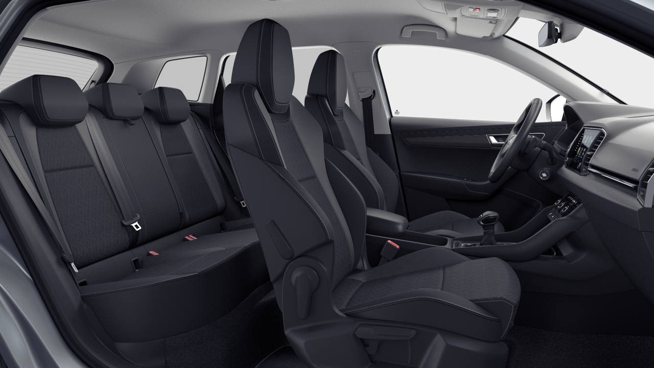 Bild eines Karoq 4x4 Selection TDI DSG