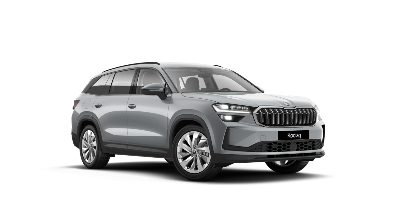 Bild eines Kodiaq Selection TDI DSG