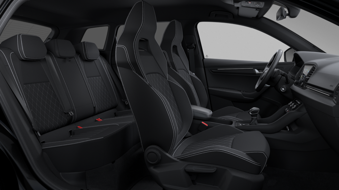 Bild eines Karoq Sportline TDI DSG