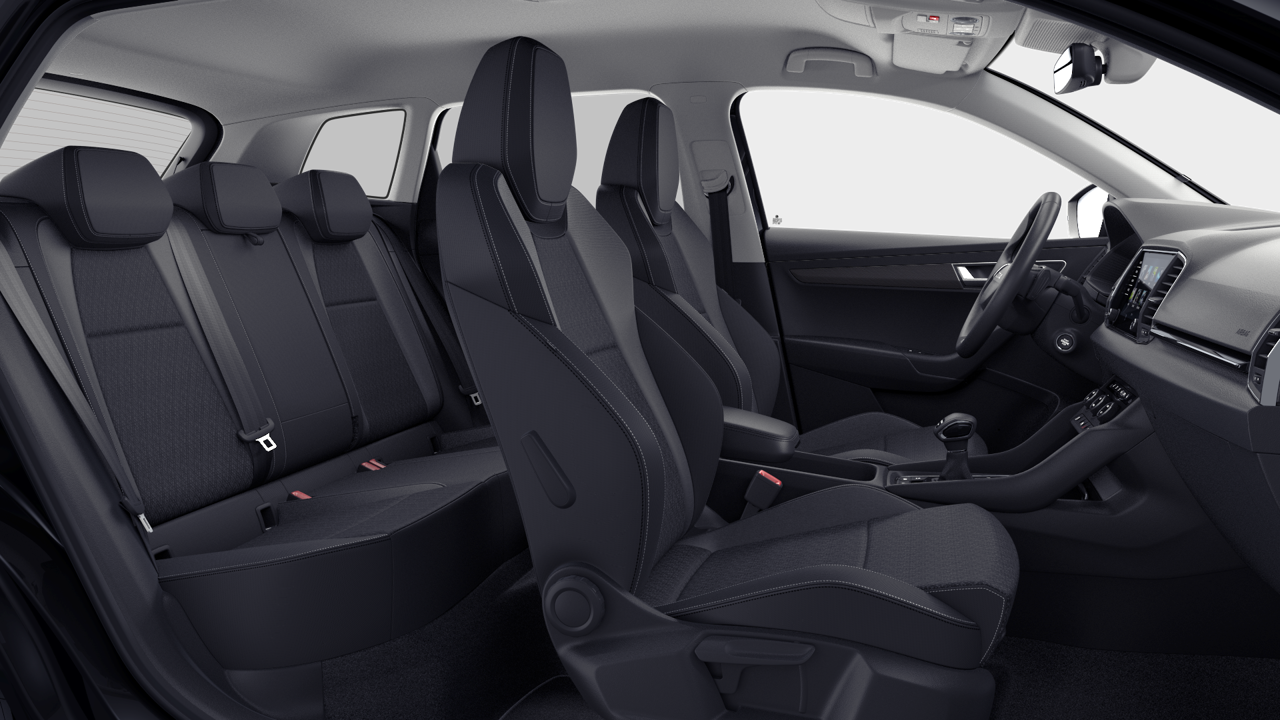 Bild eines Karoq 4x4 Selection TDI DSG