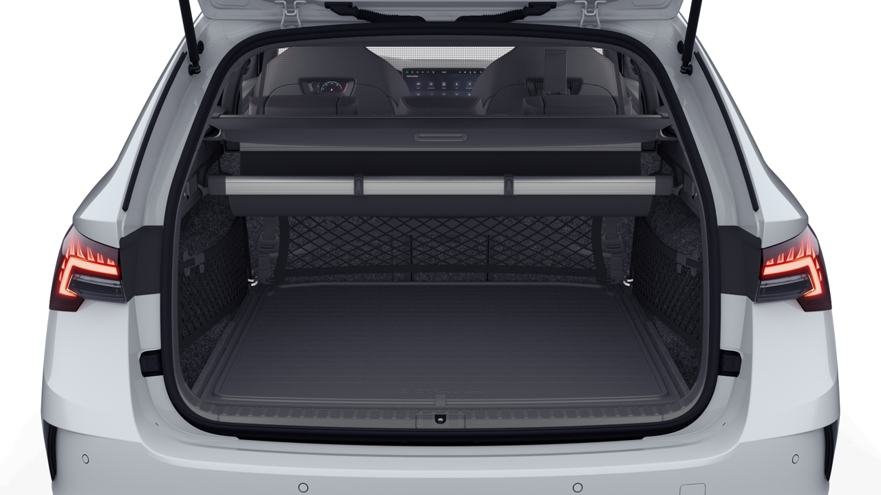 Bild eines Octavia Combi RS