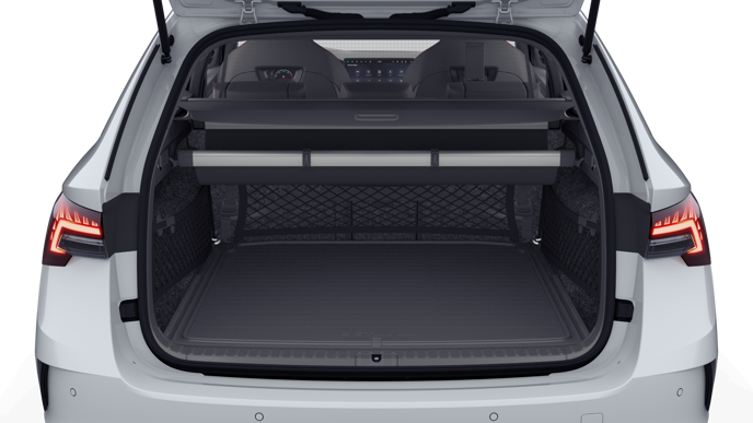 Bild eines Octavia Combi RS