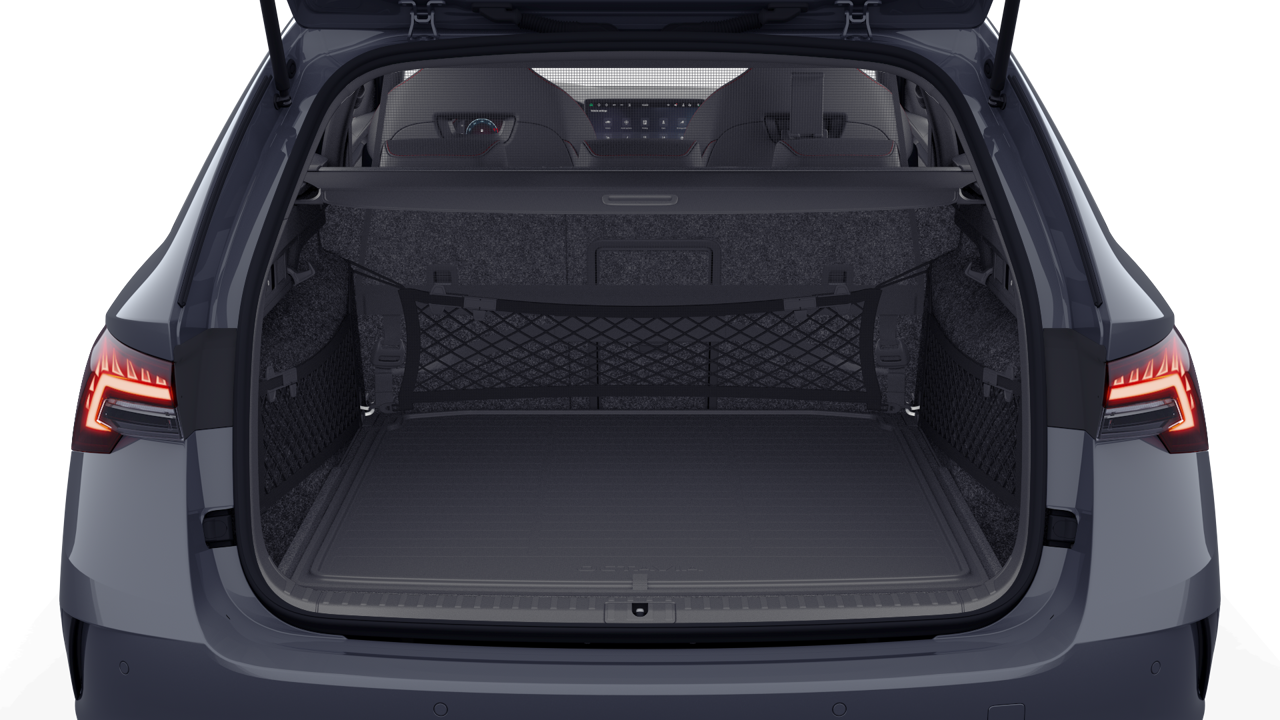 Bild eines Octavia Combi RS