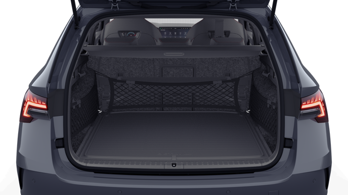 Bild eines Octavia Combi RS