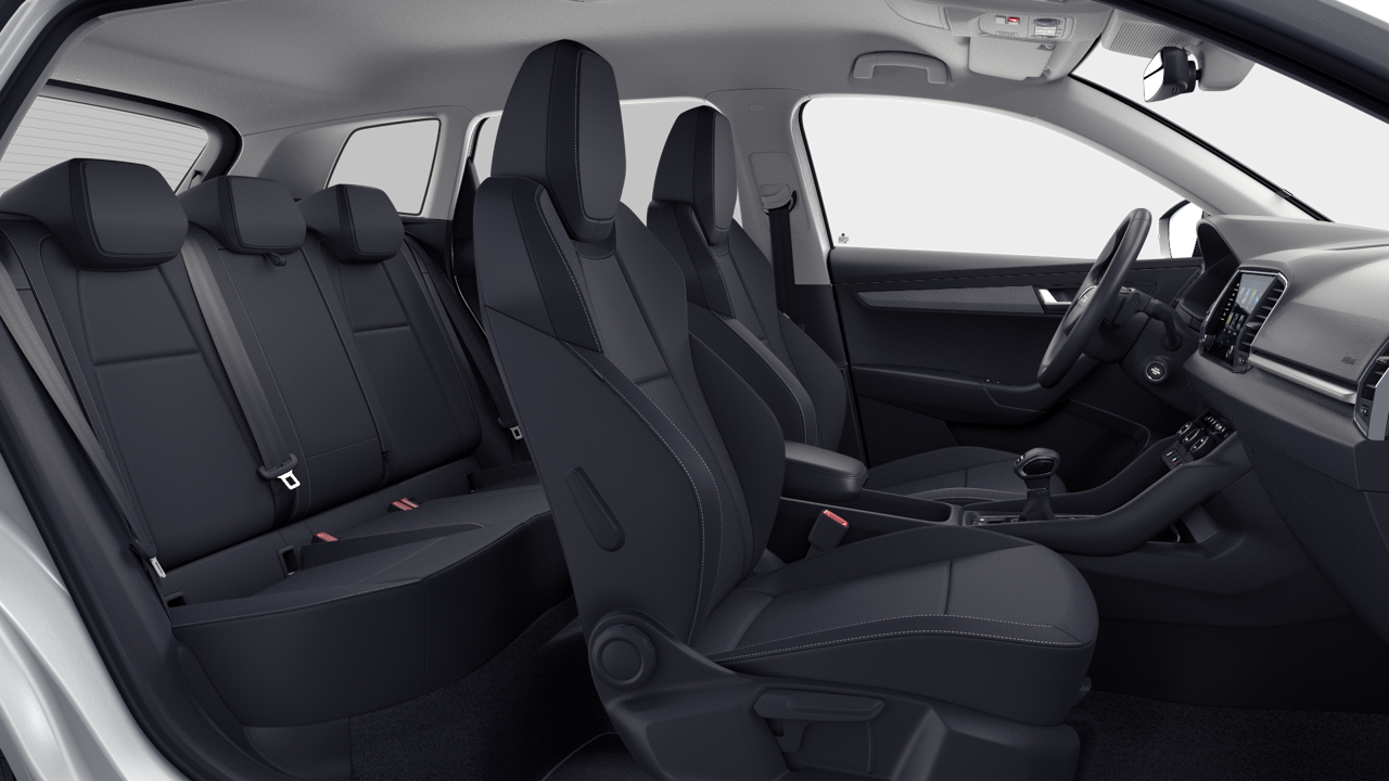 Bild eines Karoq 4x4 Selection TDI DSG