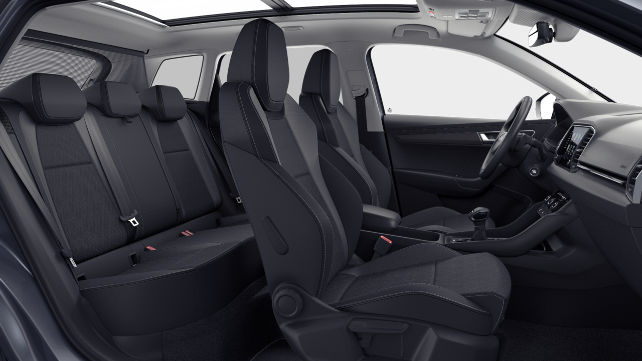 Bild eines Karoq 4x4 Selection TDI DSG