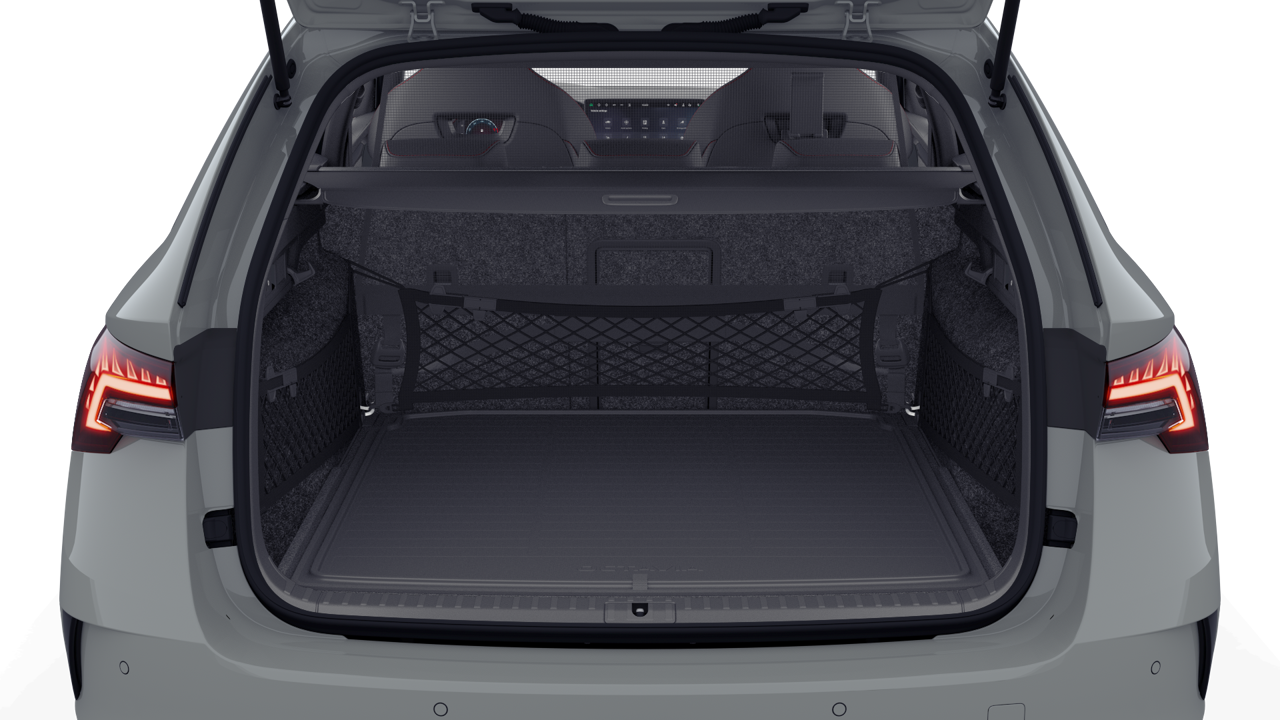 Bild eines Octavia Combi RS