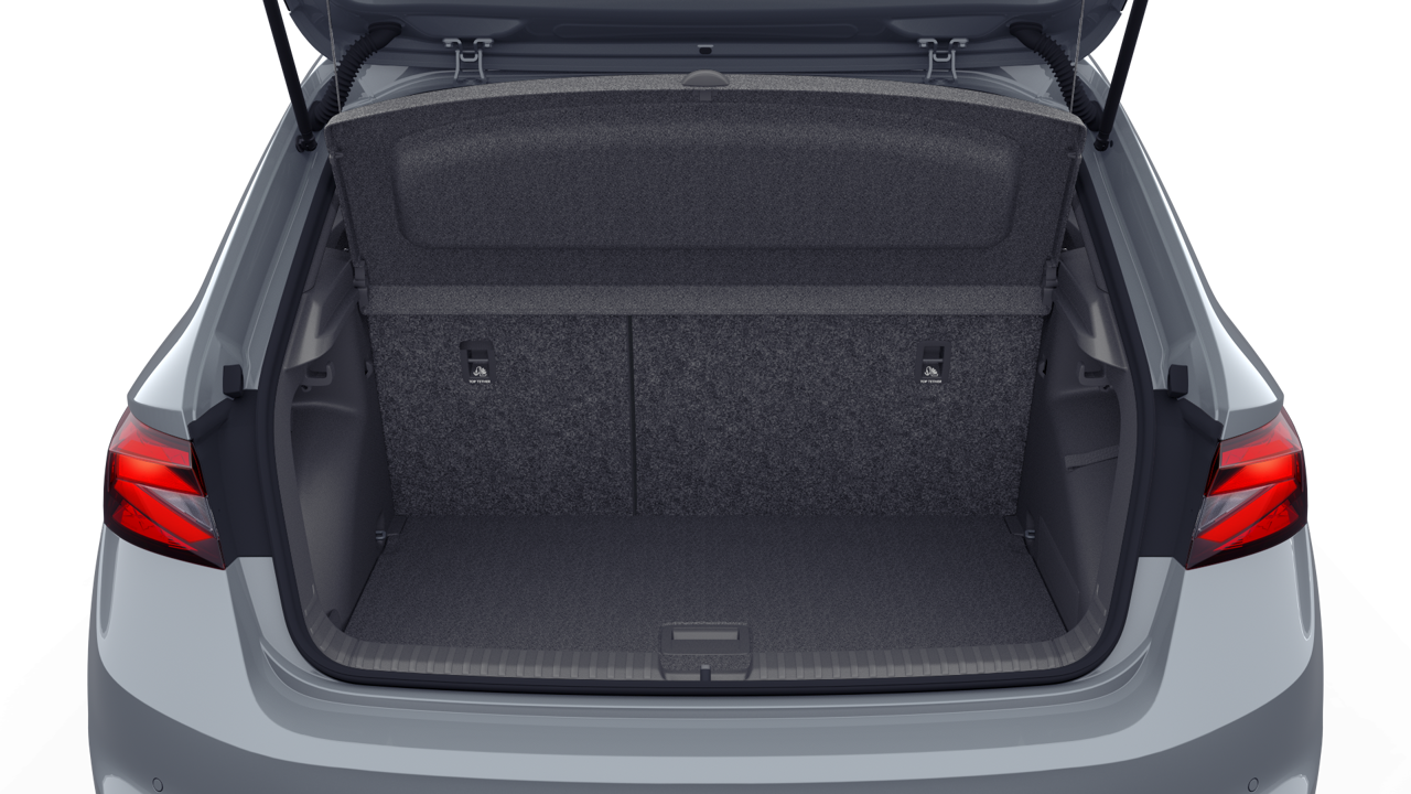 Bild eines Fabia Monte Carlo TSI DSG