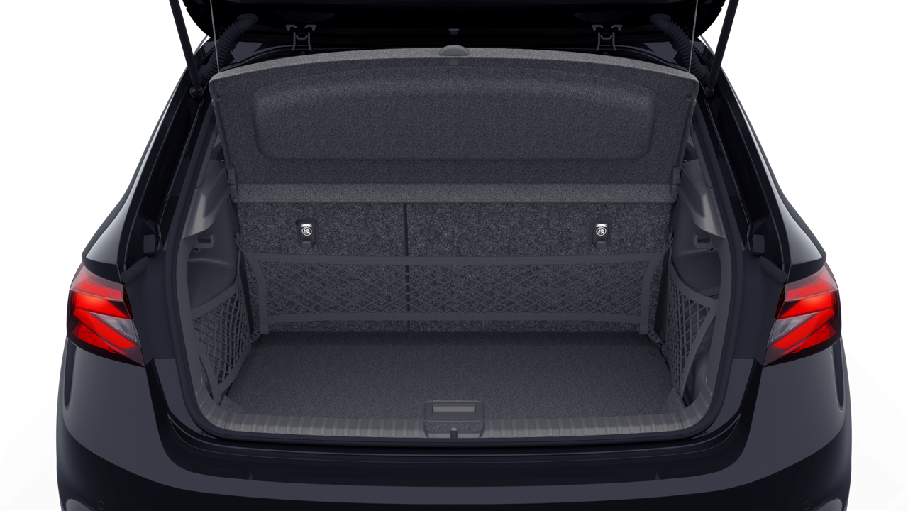 Bild eines Fabia Selection TSI DSG