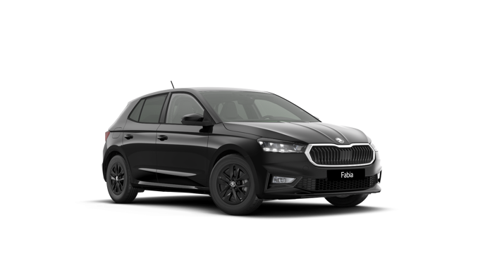 Bild eines Fabia Selection TSI DSG