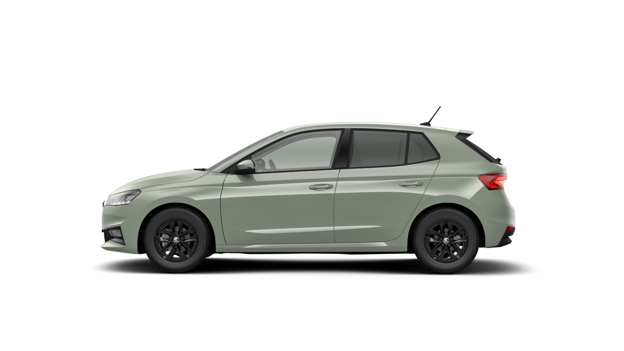 Bild eines Fabia Selection
