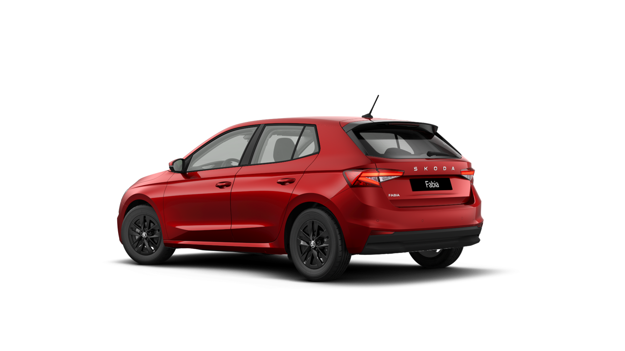 Bild eines Fabia Selection