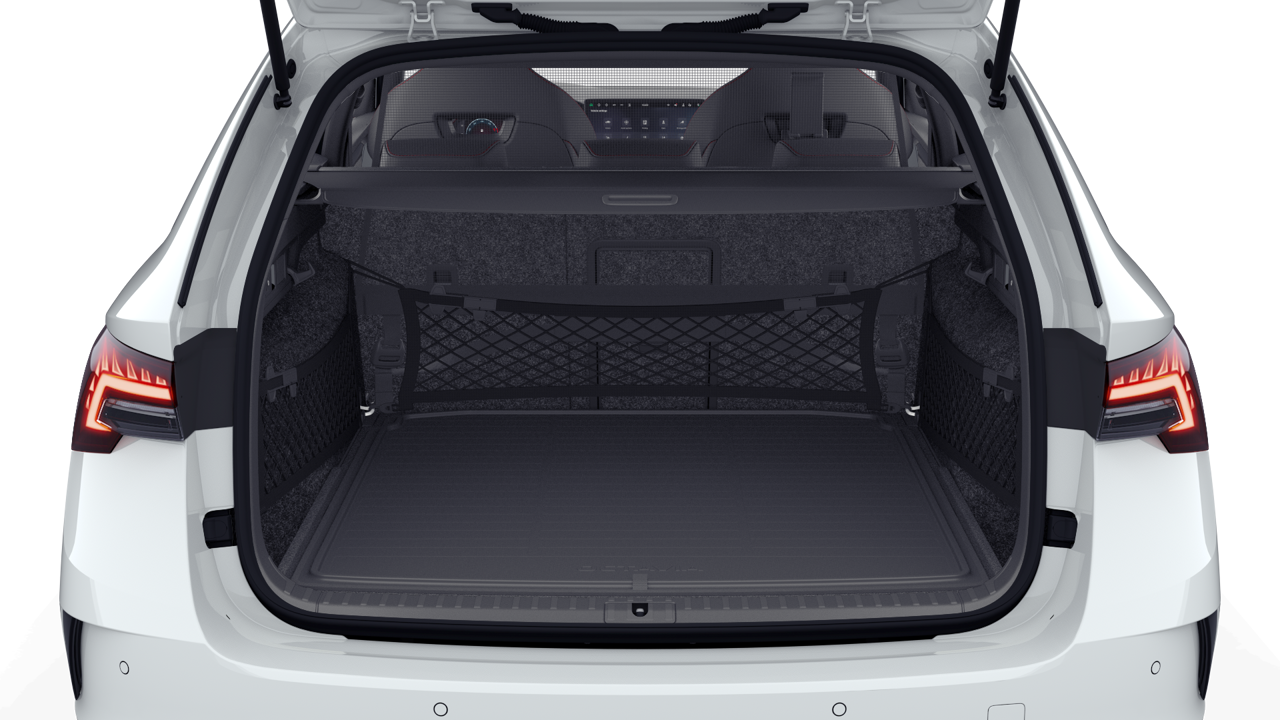 Bild eines Octavia Combi RS