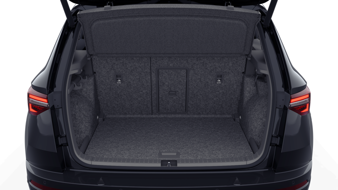 Bild eines Karoq 4x4 Sportline TSI DSG