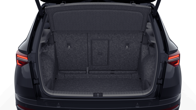 Bild eines Karoq 4x4 Sportline TSI DSG