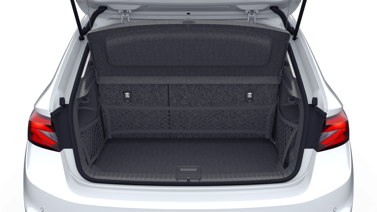 Bild eines Fabia Selection TSI DSG