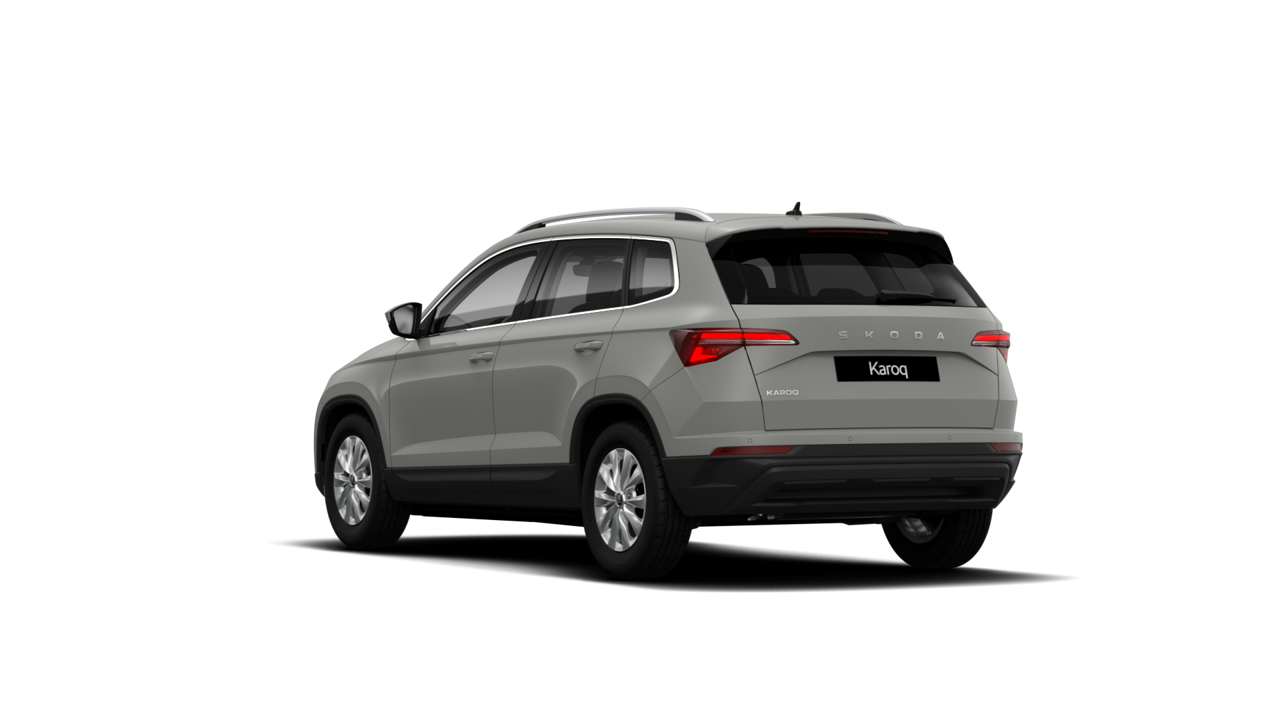 Bild eines Karoq Selection TDI DSG