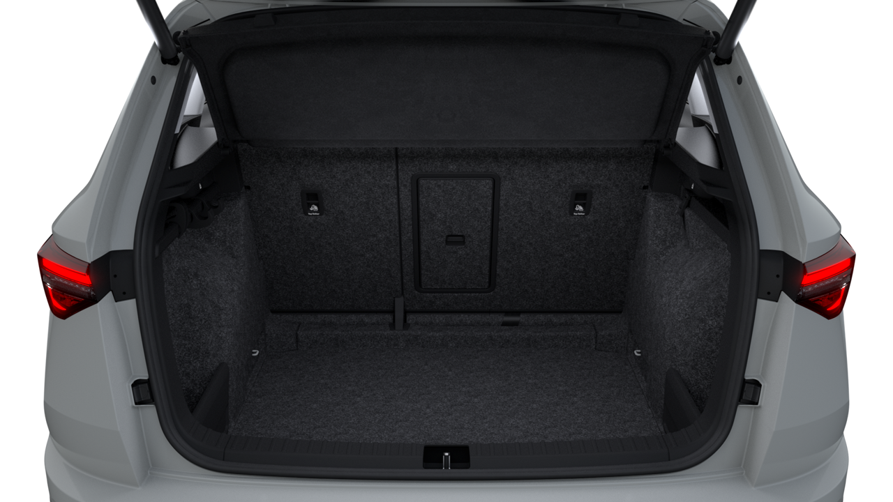 Bild eines Karoq Selection TDI DSG