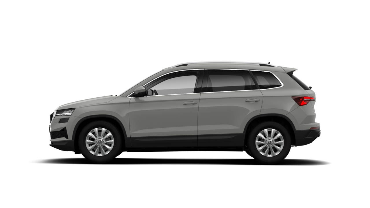 Bild eines Karoq Selection TDI DSG