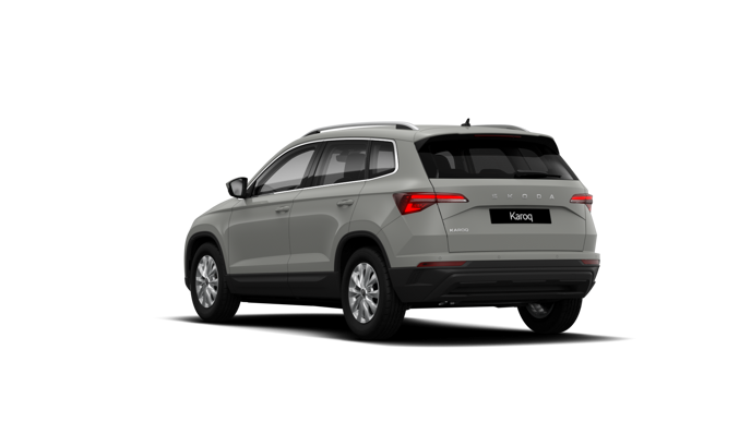 Bild eines Karoq Selection TDI DSG