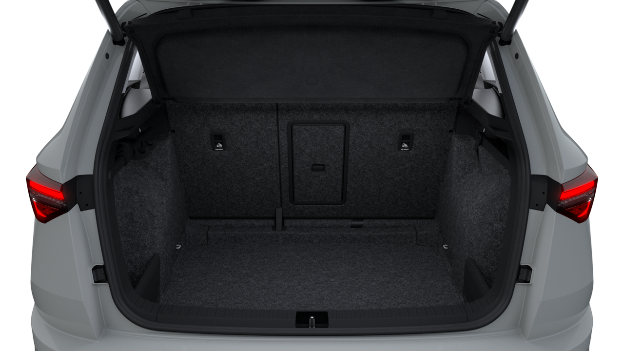 Bild eines Karoq Selection TDI DSG