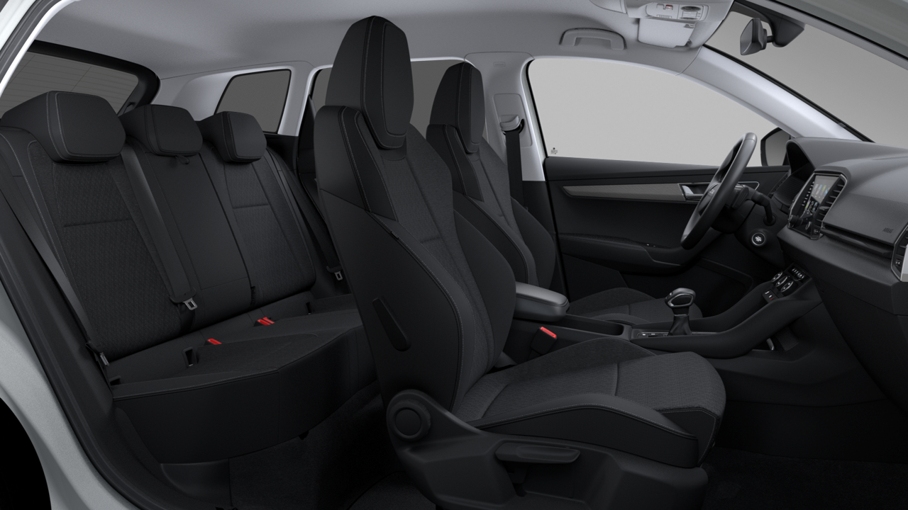 Bild eines Karoq Selection TDI DSG